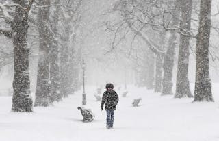 Un homme en manteau d'hiver descend un chemin bordé d'arbres dans un parc lors de fortes chutes de neige.