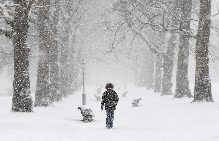 A man in a winter coat walks down a tree-lined path in a park during heavy snowfall.