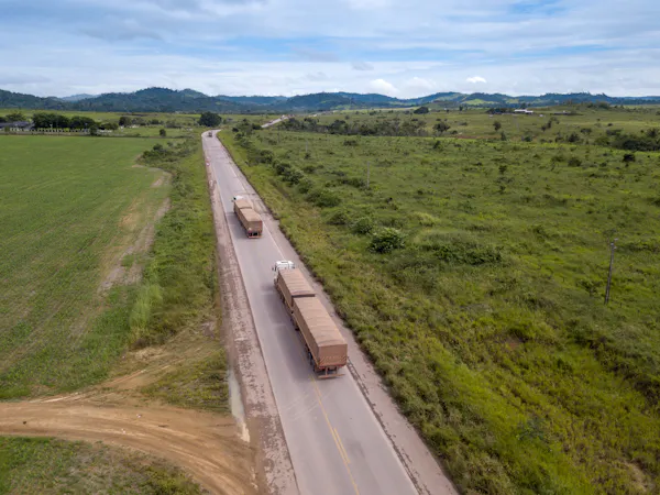 La demanda de carne está impulsando la deforestación en Brasil: cambiar la industria de la soja podría detenerla