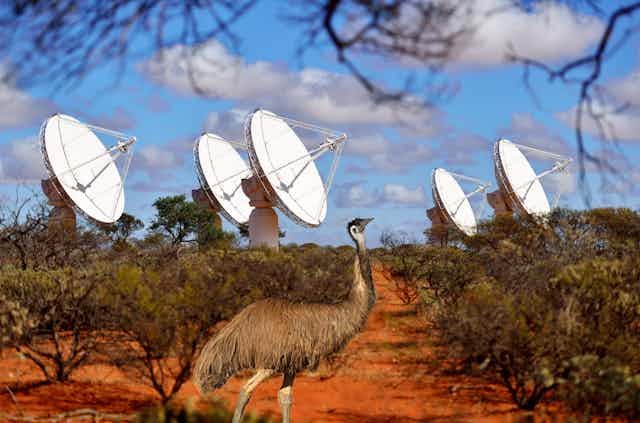An emu in the Australian outback with radio telescope dishes in the background.