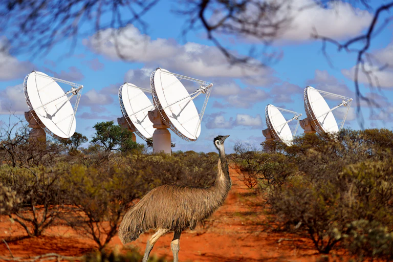 An emu in the Australian outback with radio telescope dishes in the background.