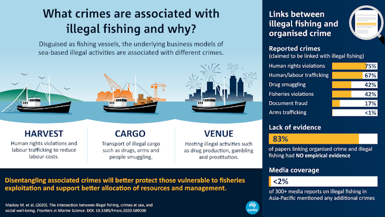 Infographic of results of associated crimes with fisheries indicating three seperate business models; harvest, cargo and venue, each with different crimes associated.