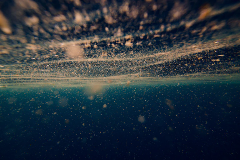 Imagen de componentes microscópicos submarinos.