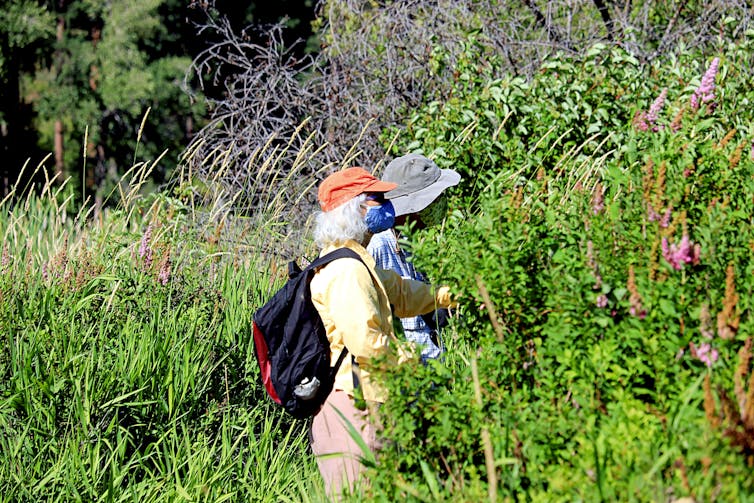 A couple on a hike, wearing masks.