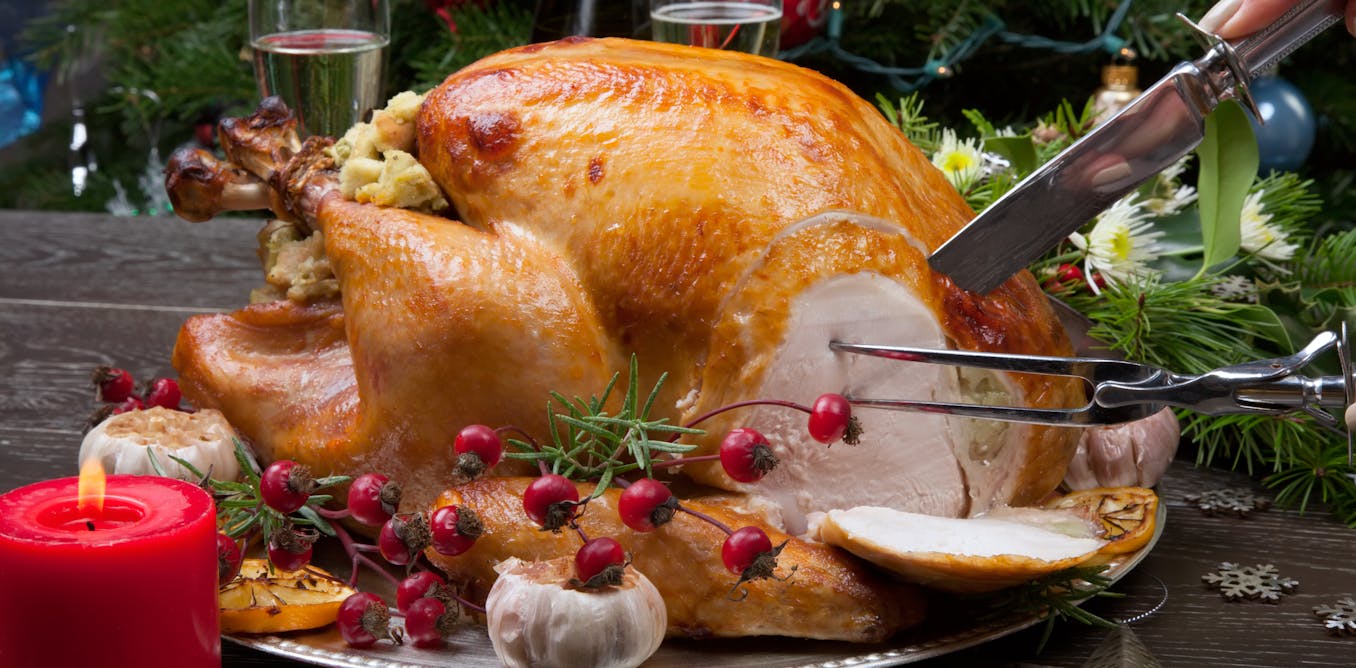 is darkish meat or white meat very best? is darkish meat or white meat very best?