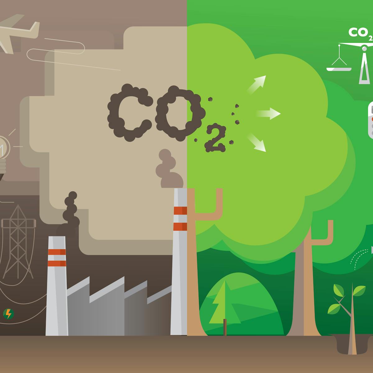 net-zero, carbon-neutral, carbon-negative ... confused by all the carbon jargon? then read this