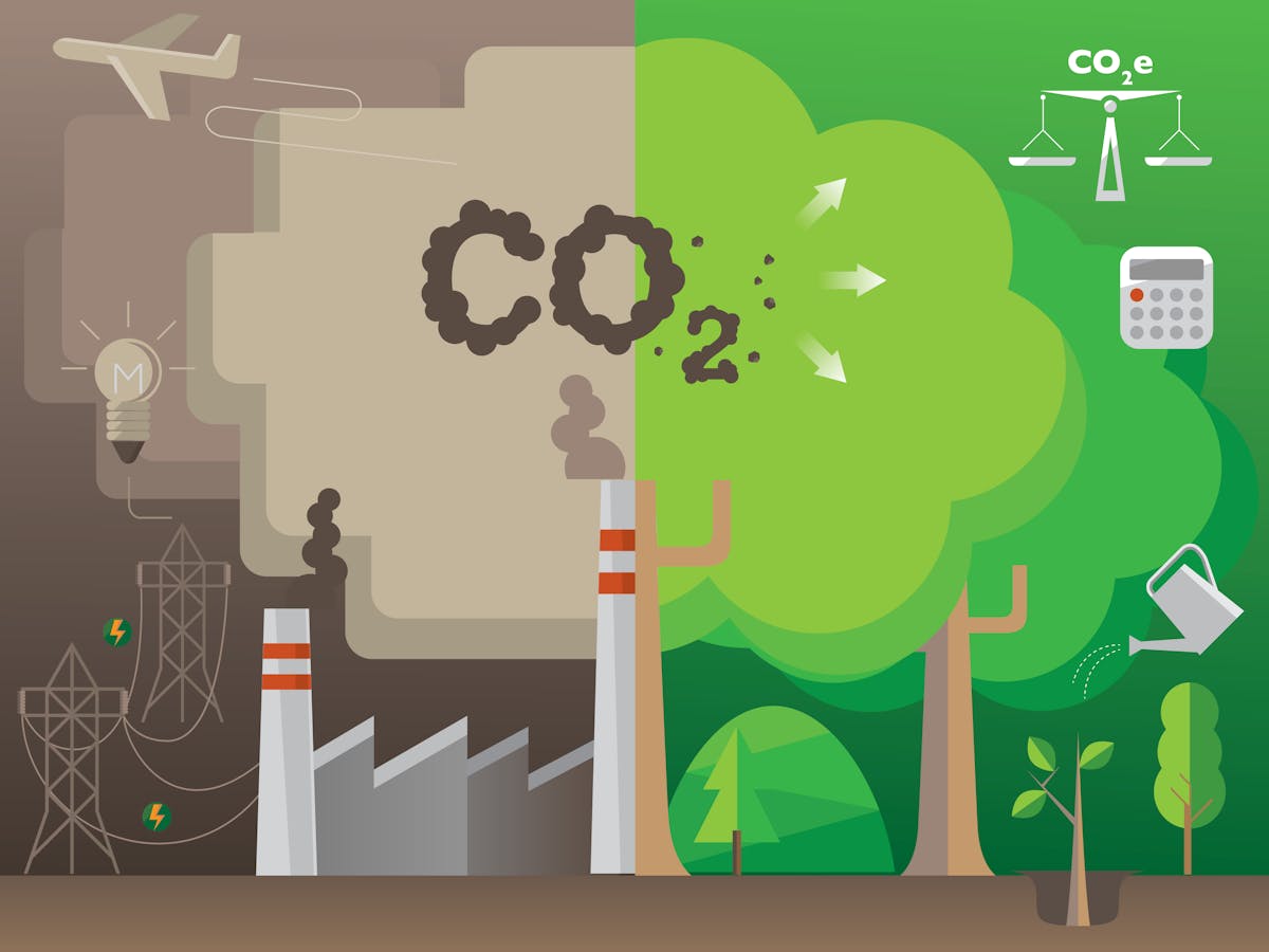 Net Zero Carbon Neutral Carbon Negative Confused By All The Carbon Jargon Then Read This Net Zero Carbon Neutral Carbon Negative Confused By All The Carbon Jargon Then Read This
