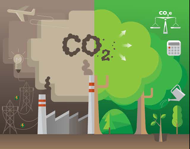 Graphic showing CO2 being offset by trees