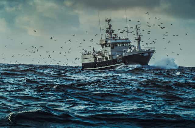 Thousands of ocean fishing boats could be using forced labor – we used AI  and satellite data to find them