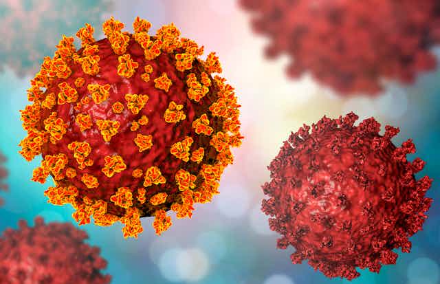 An artists impression of the SARS-CoV-2 virus.