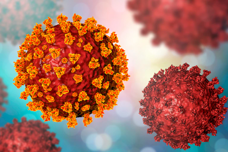An artists impression of the SARS-CoV-2 virus.