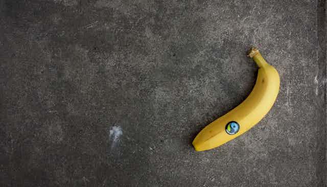 A banana with an eco label