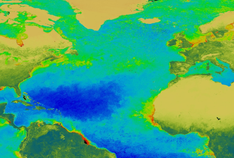 La floración primaveral de fitoplancton del Atlántico Norte es una de las manifestaciones más espectaculares de la naturaleza. NASA