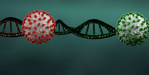 Al oír “mutante” nos asustamos. Pensamos que un mutante es siempre un ser perverso y malo. “Si el virus muta, será que se está haciendo más virulento”. Los virus no es que muten, es que ¡viven mutando!