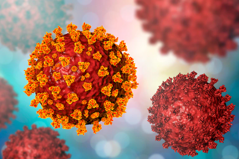 Vue d’artiste du coronavirus SARS-CoV-2.
