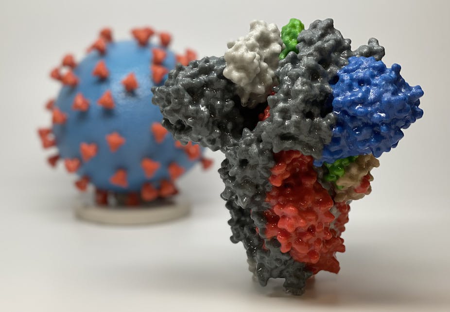 3D print of a spike protein in front of a 3D print of a SARS-CoV-2 virus particle