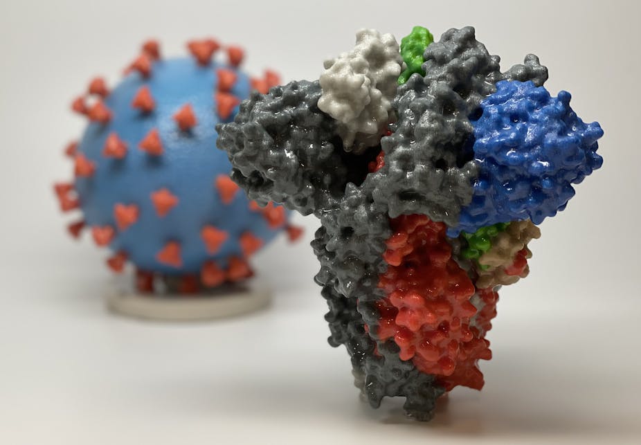 Spike Proteins of SARS-CoV-2 Relatives Can Evolve Against Immune Responses