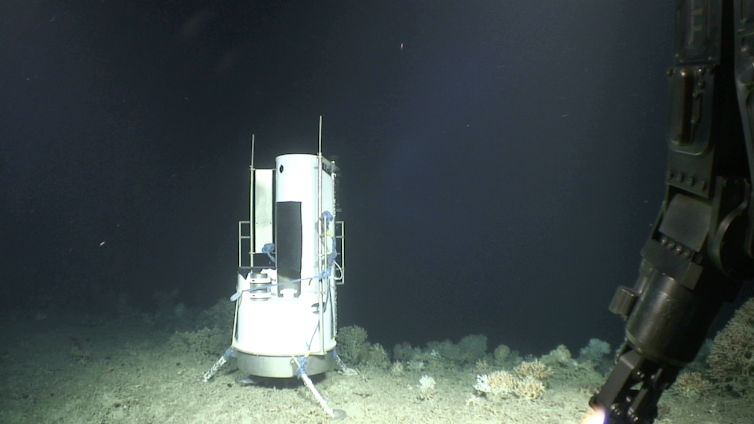 Scientific equipment beside some coral, deep ocean canyon in background.