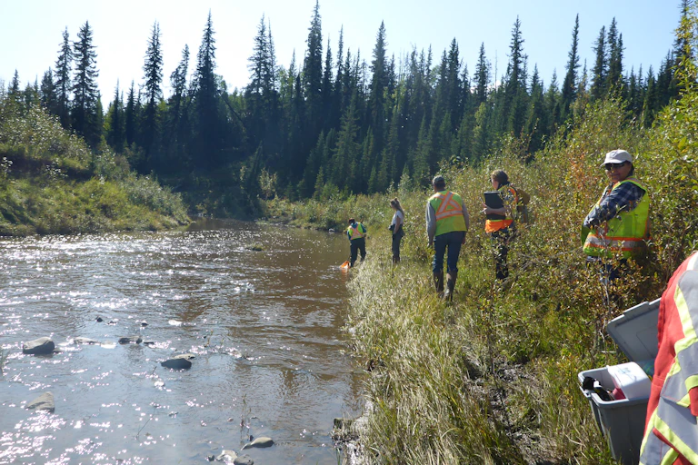 People walking next to a river with clipboards and nets in hand