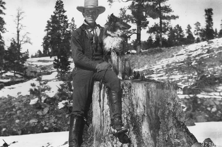 Leopold seated on large tree stump with dog
