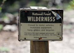 Wilderness sign in U.S. national forest