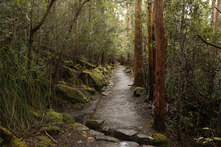 file-20210104-19-ouvjw7.jpg?ixlib=rb-1.1.0&q=45&auto=format&w=754&fit=clip