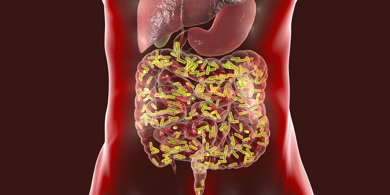 A healthy microbiome builds a strong immune system that can help defeat COVID-19