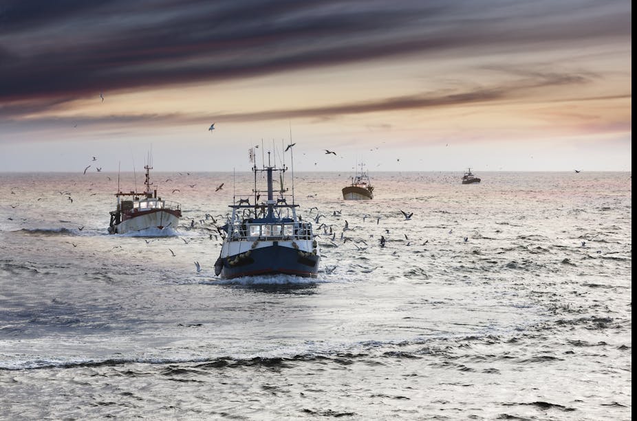 Samudra Atlantik Kekuatan Pendorong Sirkulasi Laut Dan Kegemaran Manusia Akan Ikan Kod