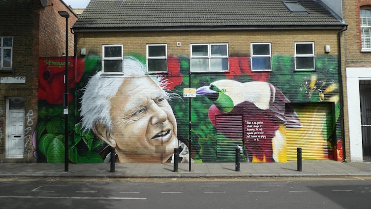 Street art of David Attenborough and a colourful bird
