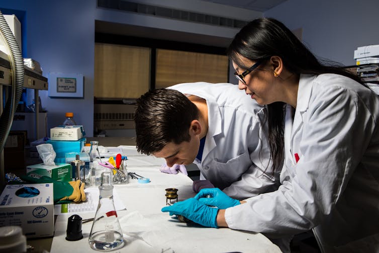 Researchers in a laboratory.