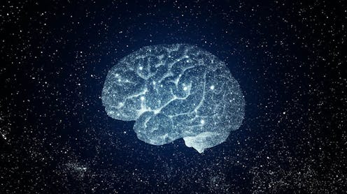 Cerebro y universo: ¿evolucionan de la misma forma? 11 file 20210105 19 np0kd5.jpg?ixlib=rb 1.1