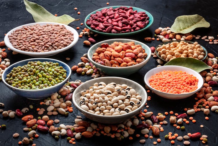 Bowls of different types of beans and lentils