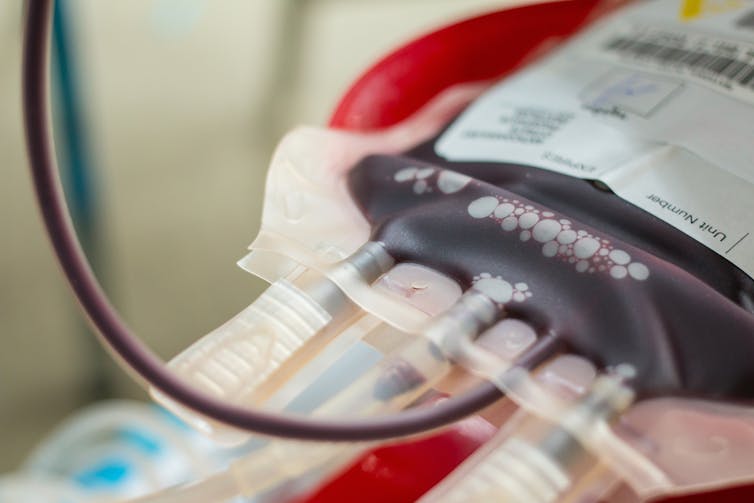 Medical blood bag from blood donation