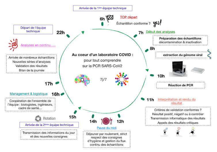 Déroulement d’une journée dans un laboratoire Covid