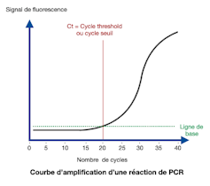 Courbe d’amplification d’une réaction de PCR