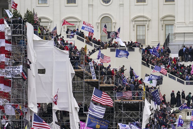 Trump supporters breached the Capitol carrying Trump flags and dressed in costumes. Manuel Balce Ceneta/AP