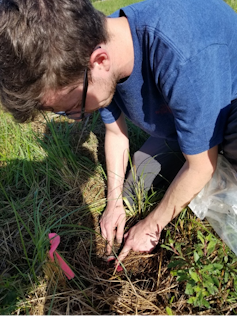 A man kneeling over a small hole dug in the grass.