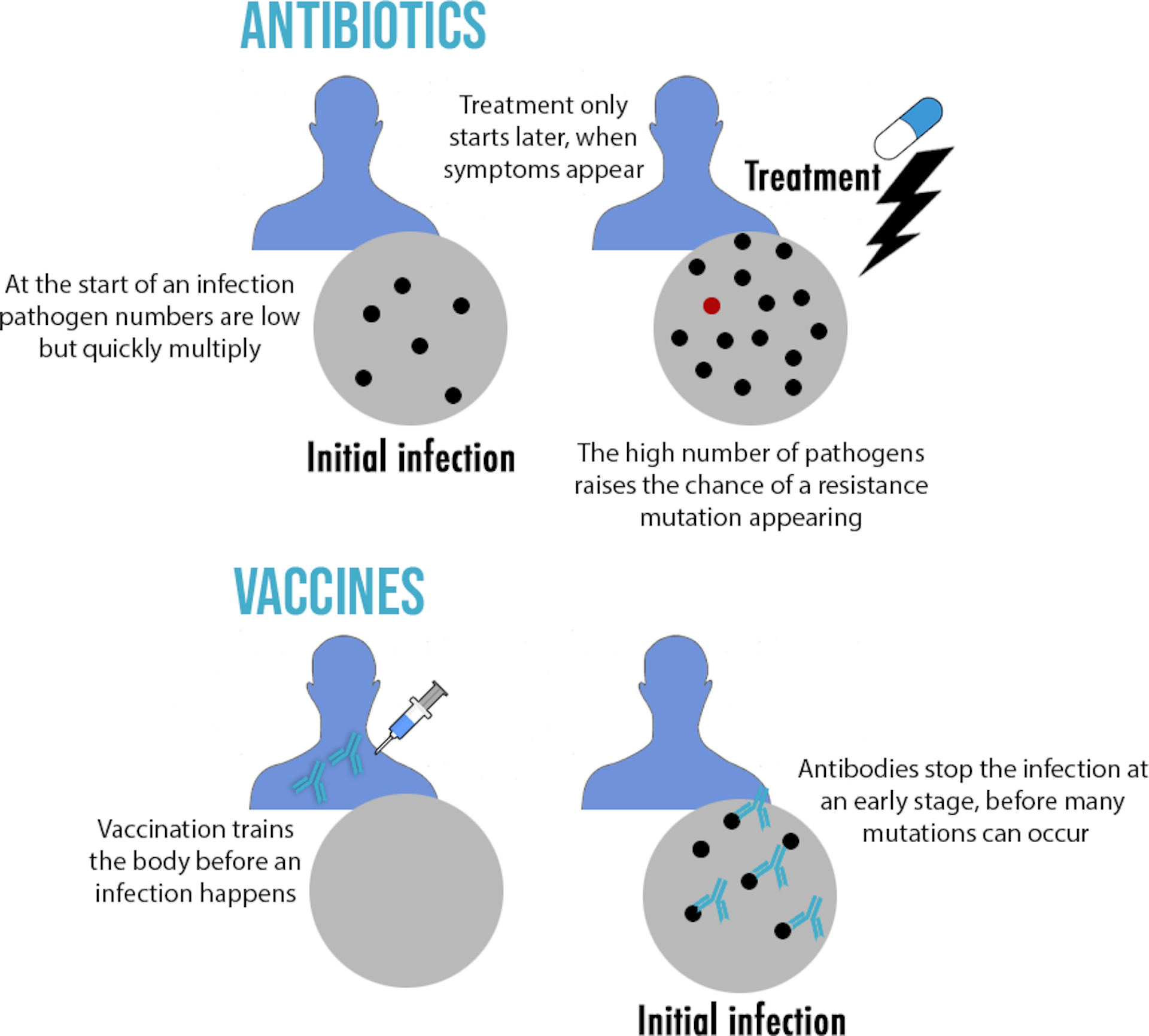 Why Resistance Is Common In Antibiotics, But Rare In Vaccines