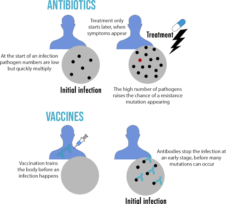 A graph showing how the more pathogens are present during an infection, the more likely it is a resistance mutation may occur