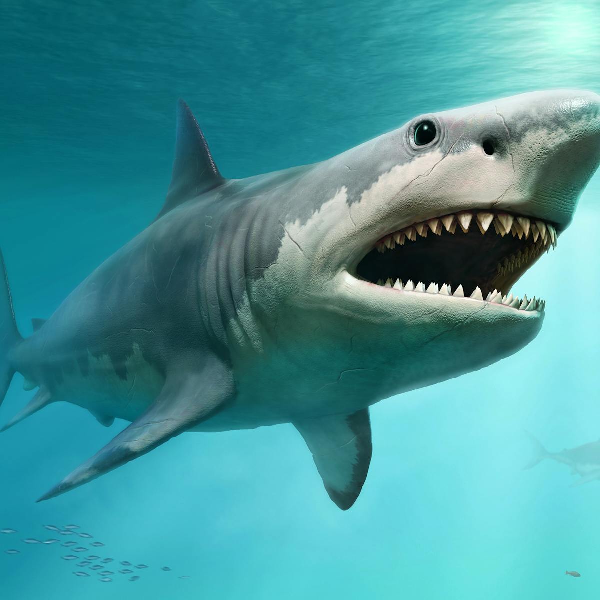 Giant Ancient Sharks Had Enormous Babies That Ate Their Siblings In The Womb Giant Ancient Sharks Had Enormous Babies That Ate Their Siblings In The Womb