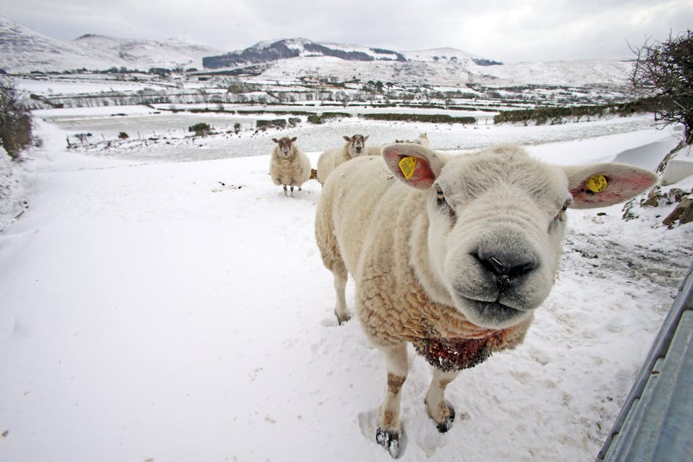 Beast From The East 2 What Sudden Stratospheric Warming Involves And Why It Can Cause Freezing Surface Weather Beast From The East 2 What Sudden Stratospheric Warming Involves And Why It Can Cause Freezing Surface Weather