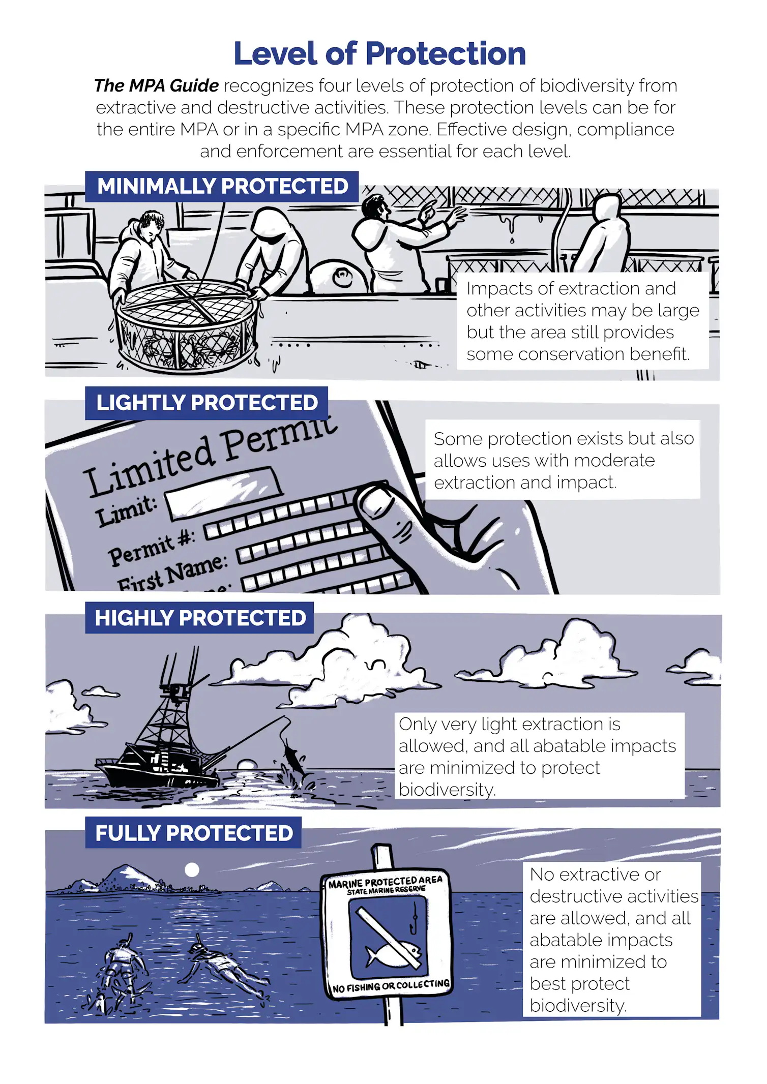 How marine protected areas help safeguard the ocean