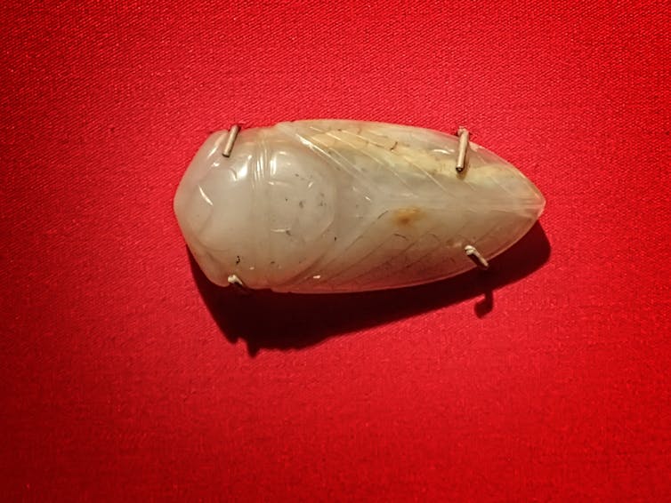 Jade cicada