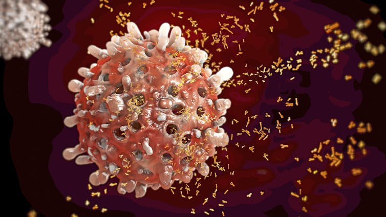 Virus cell in the body being attacked by tiny antibodies.