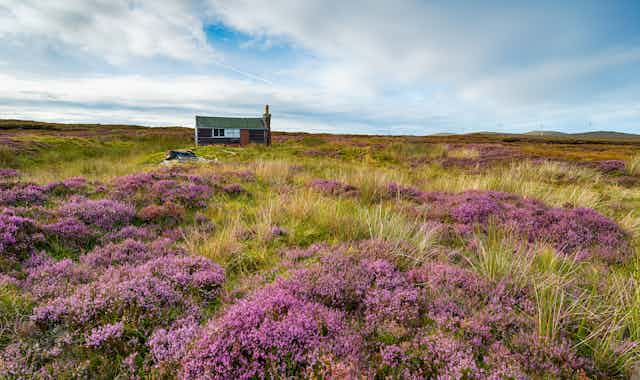 A small house sits on a peat bog.