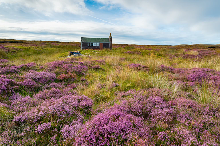 A small house sits on a peat bog.