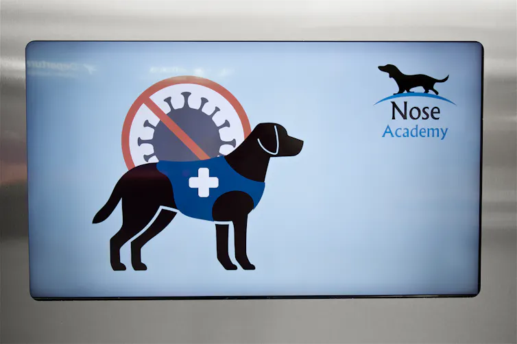 Letrero que muestra imágenes de un perro y el virus del SARS-CoV-2.