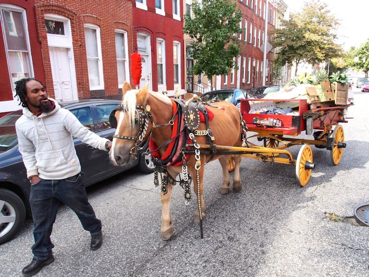 A food vendor pulls his horse through Baltimore.