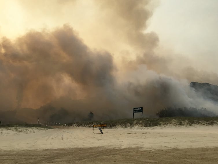 K'gari (Fraser Island) bush fires near the Cathedrals camping ground, November 2020.