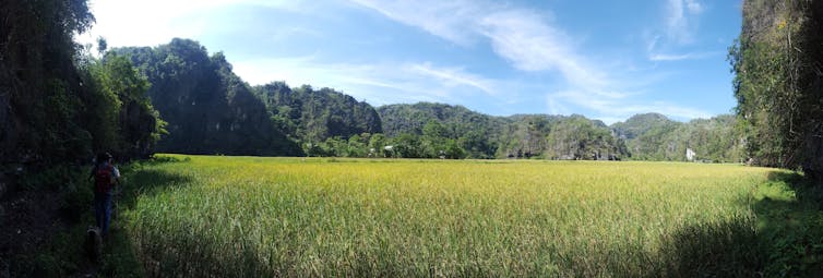 A lush green valley landscape.